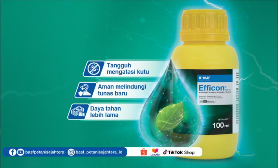 Efficon® 120 SL