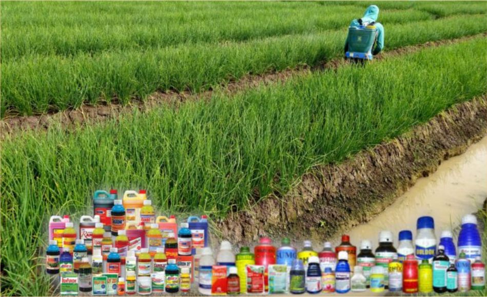 Pengetahuan Mengenai Pestisida